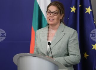 Нито от българска, нито от турска страна са поставяни допълнителни политически или икономически условия при замразяването на договора с „Боташ“, каза министърът на енергетиката Ива Петрова