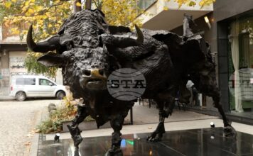 Основният индекс на БФБ нарасна до 5-месечен връх
