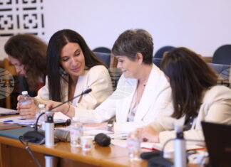 Отпадане на район „Чужбина“ одобри парламентарната правна комисия с промени в Изборния кодекс