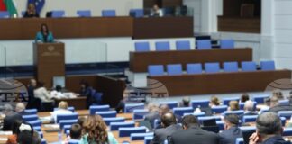 Парламентът реши да отпадне изборен район „Чужбина“