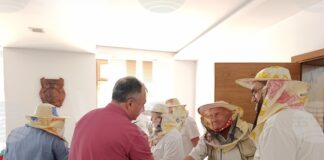 Пчелари обсъдиха с кмета на Шумен пчеларския сезон, състоянието на пчелните семейства и очакванията за тазгодишния добив на мед