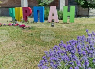 Рок фестивал, кино и театър включва августовската културна програма на Община Чирпан