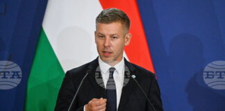 Шахматната легенда Юдит Полгар отказа на унгарския премиер Петер Мадяр да стане президент на страната, информира МТИ