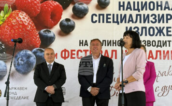 Външнотърговското салдо при малините е положително, заяви министърът на земеделието Пламен Абровскии при откриването на "Фестивала на малината" в Самоков Външнотърговското салдо при малините е положително, заяви министърът на земеделието Пламен Абровскии при откриването на "Фестивала на малината" в Самоков