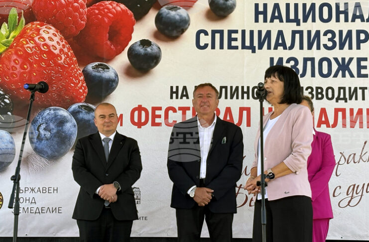Външнотърговското салдо при малините е положително, заяви министърът на земеделието Пламен Абровскии при откриването на "Фестивала на малината" в Самоков