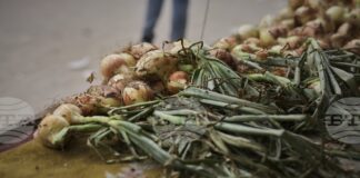 Бъдещето на влаковете, превозващи пресен лук из Япония, е несигурно
