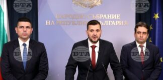 Демократична България