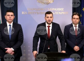 Демократична България