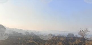 Пожарът край селата Българска поляна и Дрипчево е овладян, засегнал е около 1000 дка горски масив, съобщиха от Областна администрация – Хасково