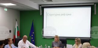 Предвижда се преструктуриране на 15-те регионални инспекции по околната среда и водите в нови структури, каза министър Росица Карамфилова