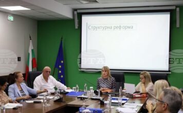 Предвижда се преструктуриране на 15-те регионални инспекции по околната среда и водите в нови структури, каза министър Росица Карамфилова