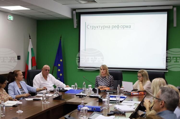 Предвижда се преструктуриране на 15-те регионални инспекции по околната среда и водите в нови структури, каза министър Росица Карамфилова