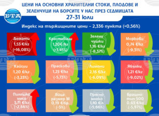 С над 16 процента нагоре е цената на едро на доматите у нас тази седмица, сочат данни на ДКСБТ С над 16 процента нагоре е цената на едро на доматите у нас тази седмица, сочат данни на ДКСБТ