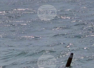 Сигнал за предмет, приличащ на боен снаряд, в морето край Тюленово, е подаден тази сутрин, съобщиха от Областната администрация в Добрич