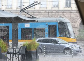 След бурята в София са постъпили 34 сигнала за паднали дървета,14 – за завирявания, и три сигнала за паднали светофарни уредби
