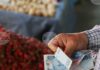 Турция повишава държавната изкупна цена на лешниците с близо 30 процента Турция повишава държавната изкупна цена на лешниците с близо 30 процента