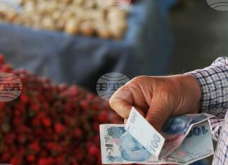 Турция повишава държавната изкупна цена на лешниците с близо 30 процента Турция повишава държавната изкупна цена на лешниците с близо 30 процента