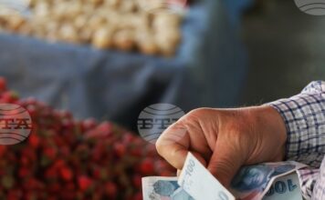 Турция повишава държавната изкупна цена на лешниците с близо 30 процента Турция повишава държавната изкупна цена на лешниците с близо 30 процента