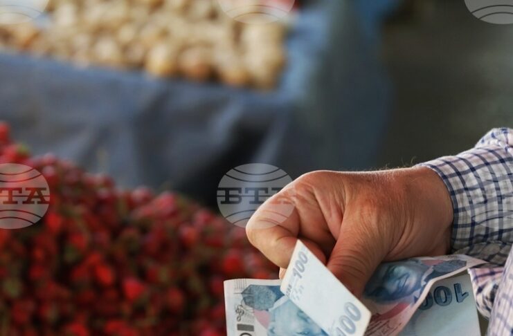 Турция повишава държавната изкупна цена на лешниците с близо 30 процента