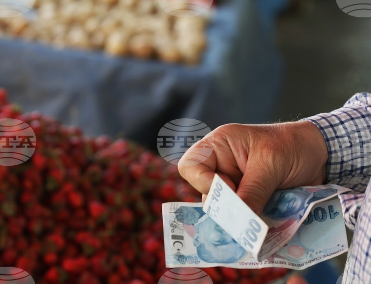 Турция повишава държавната изкупна цена на лешниците с близо 30 процента