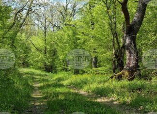 Условията за туризъм в планините са добри, но следобед се очакват локални валежи, предупредиха от Планинската спасителна служба на БЧК Условията за туризъм в планините са добри, но следобед се очакват локални валежи, предупредиха от Планинската спасителна служба на БЧК