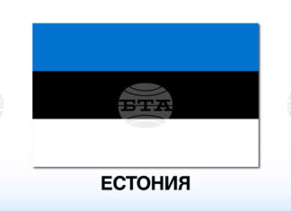 Естония избра омбудсмана Юле Мадизе за президент