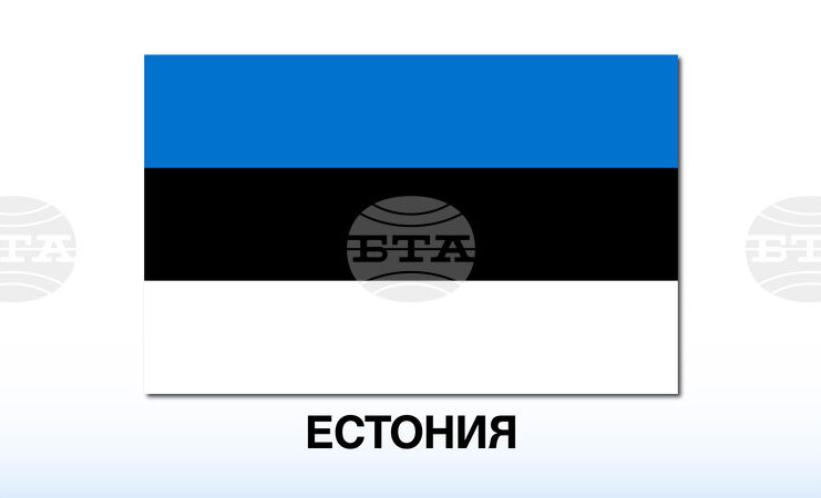 Естония избра омбудсмана Юле Мадизе за президент