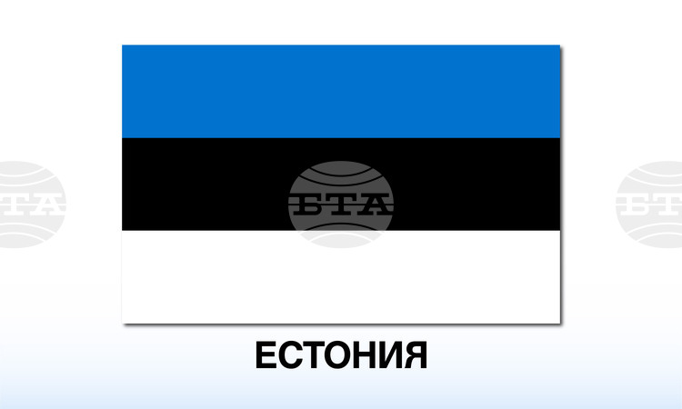 Естония избра омбудсмана Юле Мадизе за президент