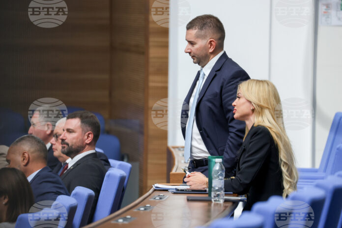 На снимката: депутатът от "Прогресивна България" Слави Василев и заместник-министърът на икономиката, инвестициите и индустрията Михаела Карадимова