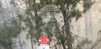 Над 20 военнослужещи и два военни хеликоптера участват в гасенето на пожара край село Димовци