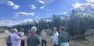 Препарат за растителна защита на основата на растителни екстракти беше демонстриран пред специалисти от пет европейски държави в Троянско