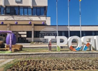 В Троян започва 33-тото издание на Българския фестивал на сливата В Троян започва 33-тото издание на Българския фестивал на сливата