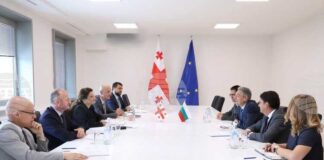 Задълбочаване на сътрудничеството в търговско-икономическата сфера е от взаимен интерес, констатираха външните министерства на България и Грузия