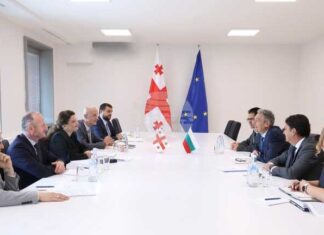 Задълбочаване на сътрудничеството в търговско-икономическата сфера е от взаимен интерес, констатираха външните министерства на България и Грузия