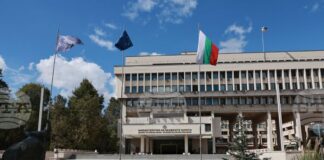 Българските граждани в Австрия да избягват масови струпвания на хора, днес се очакват демонстрации, съобщиха от МВнР