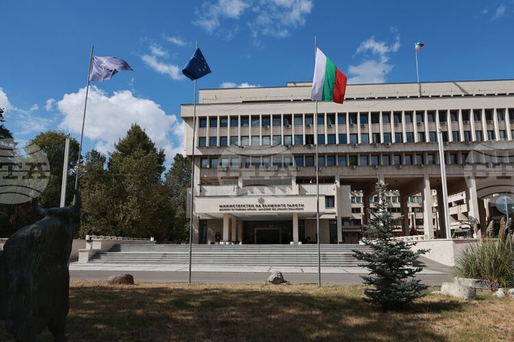 Българските граждани в Австрия да избягват масови струпвания на хора, днес се очакват демонстрации, съобщиха от МВнР