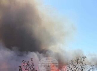 Частично бедствено положение е обявено в община Ивайловград заради пожар до село Горно Луково Частично бедствено положение е обявено в община Ивайловград заради пожар до село Горно Луково