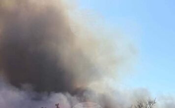 Частично бедствено положение е обявено в община Ивайловград заради пожар до село Горно Луково Частично бедствено положение е обявено в община Ивайловград заради пожар до село Горно Луково