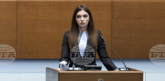 Йотова представя отказа от изпращане на български войници в Украйна като разделителна линия между себе си и своите опоненти, казаха от ДБ