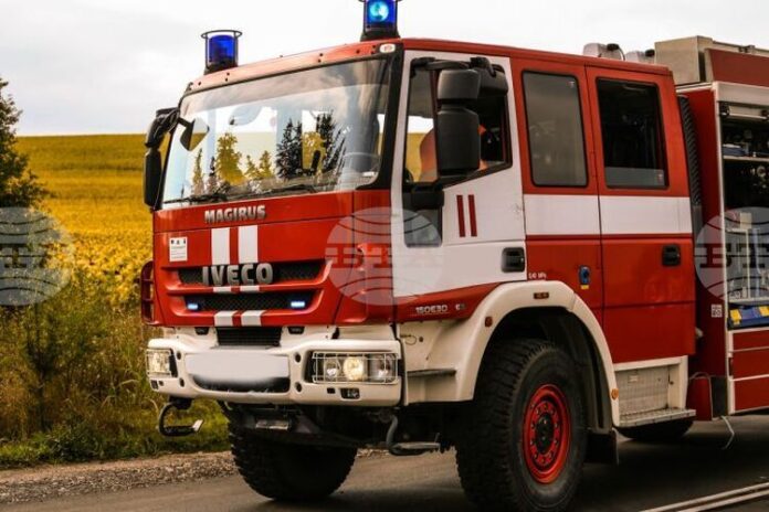 Общо 173 пожара са потушени в страната през последното денонощие, няма пострадали